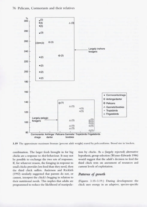 Pelicans, Comorants and their Relatives - The Pelicaniformes - Nelson,B.J. 2006
